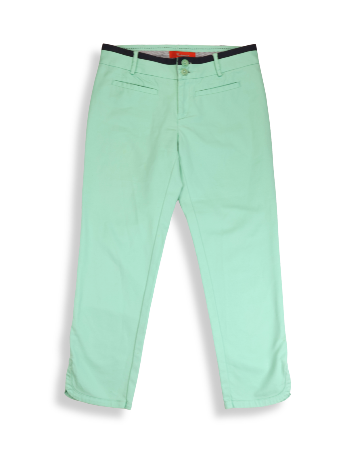 Cartonnier Anthropologie Cropped Pants Size 4 | Mint Green Tailored Ankle Pants