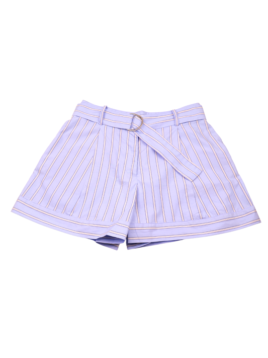 Zara Blue Stripe Belted Shorts | High Waist | Size 26 | NWOT