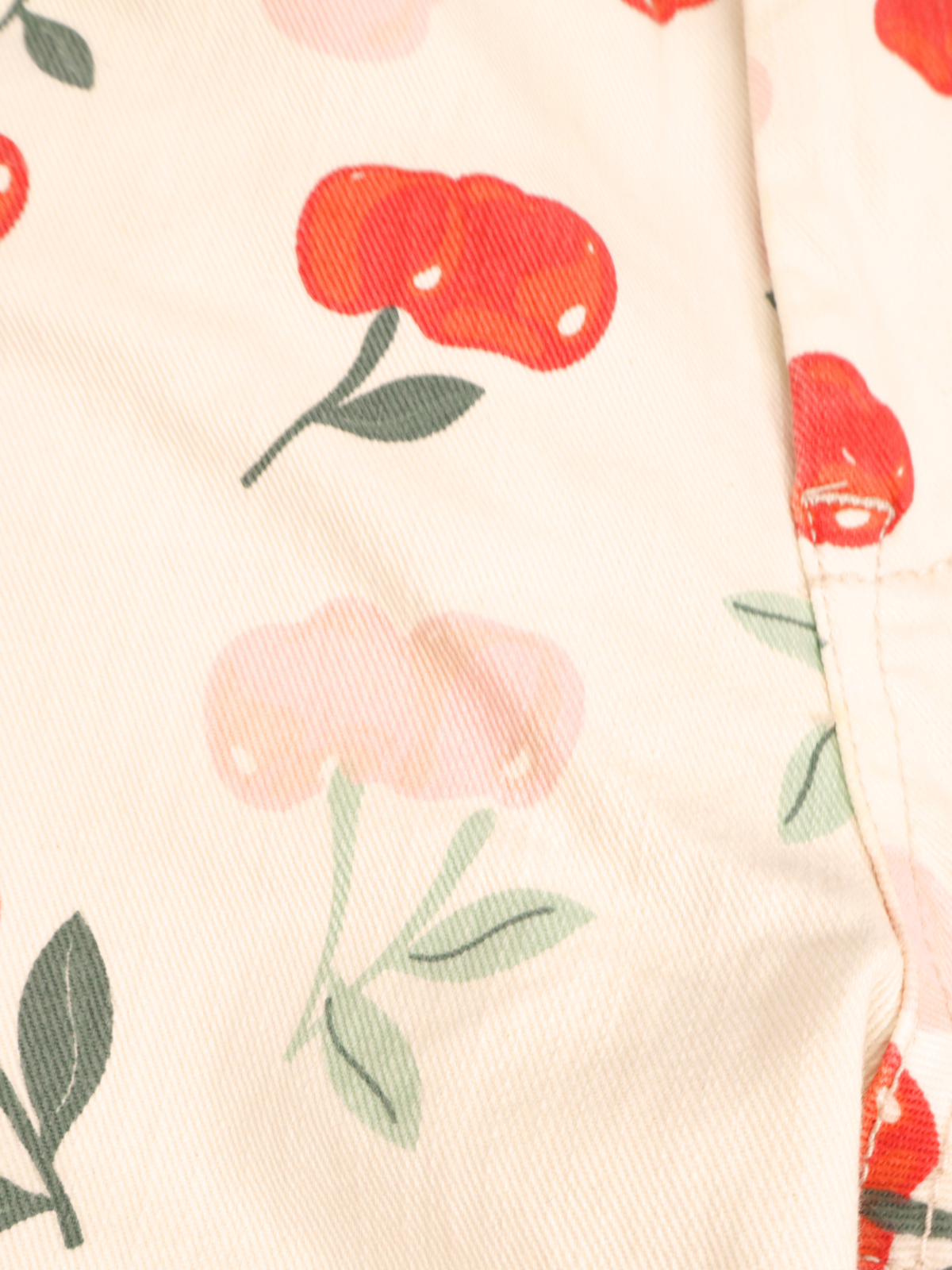 BLANKNYC Cherry Print Skinny Jeans – Cream | Ankle Zip | Size 27