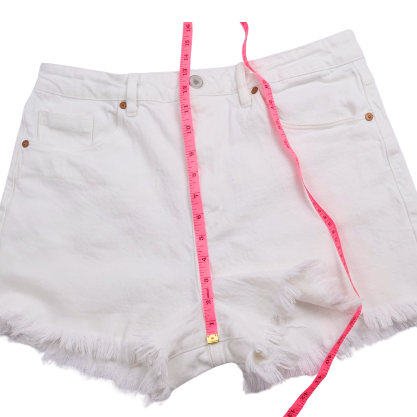BLANKNYC The Reeve High-Rise Ribcage Shorts | White Frayed Hem | Size 10